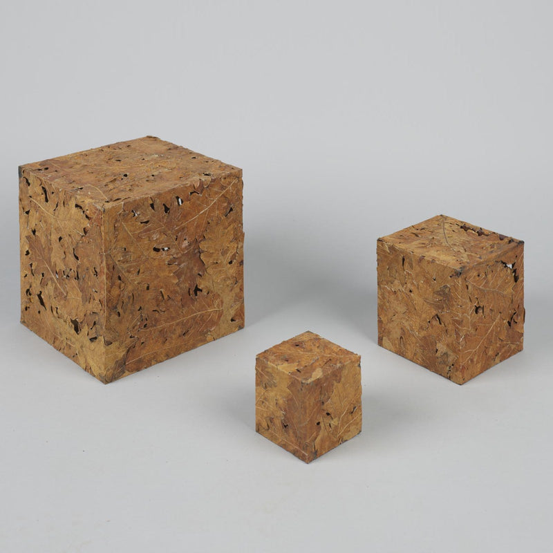 Oak Cubes