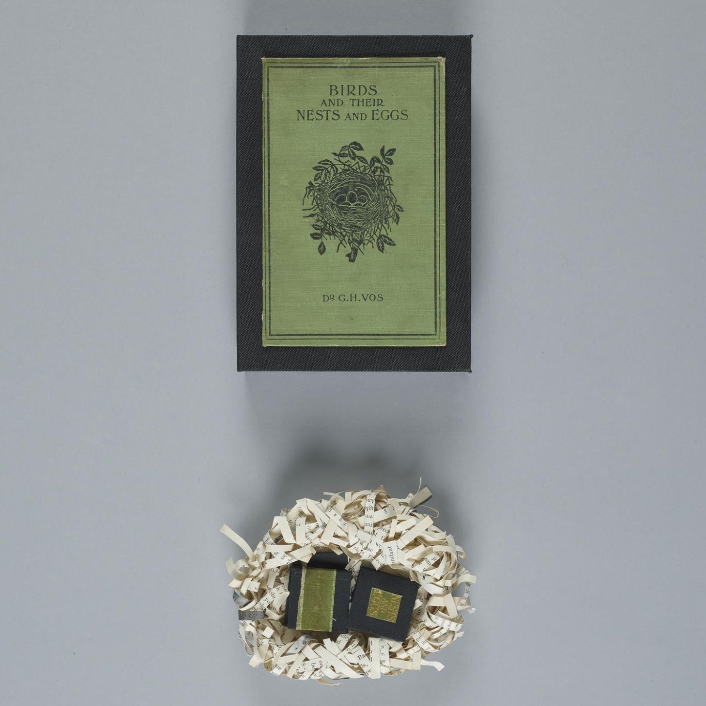 Nest