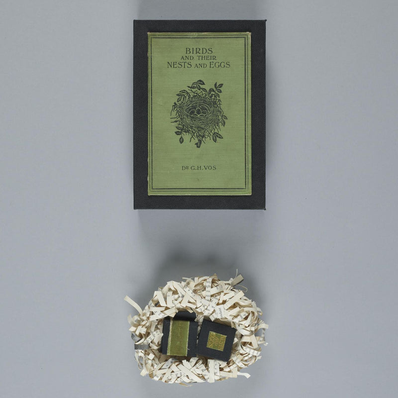 Nest